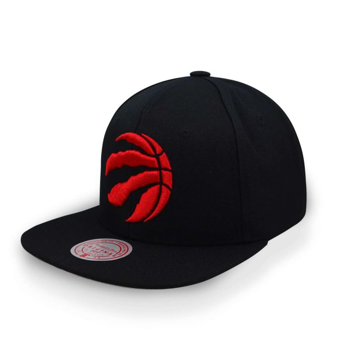 Tapestry Snapback Toronto Raptors
